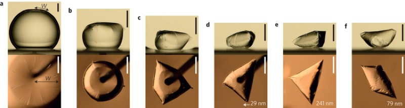 Illustration for article titled These Shrink-Wrapped Mini-Droplets Look Like Tiny Empanadas